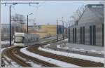 Glattalbahn Cobra der Linie 10 bei der Haltestelle B�uler. (16.02.2010)