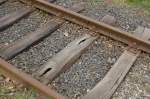 Gleise und Weichen Guck mal was da w�chst! Wenn Schwellen zum Pflanzkasten werden, vorsichtig lugt das zarte Gr�n hervor. Foto 10.4.2010