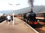 Dampflok 48151 der Westcoast Railways mit eine Dampzug Fort William-Mallaig auf Bahnhof Fort William am 31-07-1999.