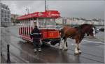 Die Pferde arbeiten nie mehr als zwei Stunden, dann werden sie ausgewechselt. Regen gehrt zur Isle of Man und so sind die Tramwagen ein willkommener Regenschutz. (10.08.2011)