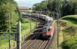 L�nger, ausgelasteter: Der Fruchtexpress ...  Gabriel Hofer 04.09.2011