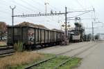 Zuckerr�benverlad in Avenches: Bei ...  Gabriel Hofer 15.11.2011