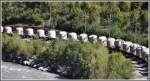 Mohrenk�pfe werden diese Zementsilowagen ...  Herbert Graf 16.09.2011