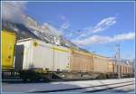 Guterwagen Holzhackschnitzelcontainer in der S�gerei Mayr Melnhof in Ems Werk. (03.02.2010)