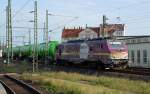 Halle (Saale) (296 Photos)