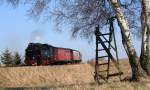 Harzer Schmalspurbahnen 99 6001 kurz vor Hasselfelde im April 2010