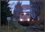 havellandische-eisenbahn-ag-hvle Ein 'Tiger' schleicht durch die Dunkelheit. hvle V330.1 beim zusammenstellen seines Splittzuges.  Stralsund am 10.11.09