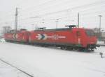 HGK Hafen - Und Guterverkehr Koln Hier 145-CL 012 und 145-CL 014 der HGK, abgestellt am 30.1.2010 in Angerm�nde.