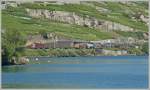 im Lavaux Re 4/4 II mit einem G�terzug bei Rivaz am 7. Juli 2010. 