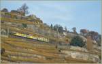 Der  Train des Vignes  ...  Stefan Wohlfahrt 11.12.2010