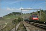 Und einen Augenblick sp�ter ...  Stefan Wohlfahrt 11.04.2011