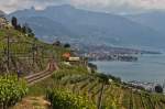 Wer im Train de ...  Silvan Wyss 29.05.2011