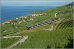 Ein NPZ als  Train ...  Stefan Wohlfahrt 13.07.2011