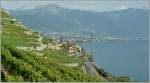 Sommer im Lavaux - ...  Stefan Wohlfahrt 07.01.2012