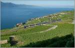 im Lavaux (178 Photos)
