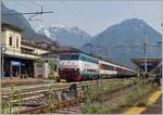 Inmitten blühender Vegetaion in Domodossola steht die FS Trenitalia E 444 043 mit dem  von EC 329 von Zürich nach Rho Fiera Expo.