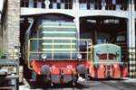 may 1984. diesel 141.1020 at Napoli depot. On the right there is the old locomotive 215.010.