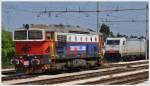 D753 007 Sistemi Territoriale und E483.025SI in Rovigo. (16.06.2013)