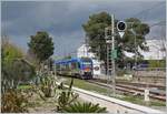 Der Gegenzug, der FS Trenialia FSE ATR 220 012 auf der Fahrt von Putignano nach Martina Franca erreicht als Regionale 92131 den Bahnhof Alberobello, beachtenswerd die schön Vegetation im linken Bildteil.

20. April 2023