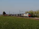 Die 191 009 mit einem Containerzug am 21.04.2017 unterwegs bei Villafranca di Verona.