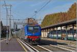 Mit passenden Wagen verlässt die FS Trenitalia E 464 681 Lucca Richtung Viareggio.