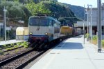 E655 276 kommt mit einem gemischten Contaienerzug aus Reggio-Calabria(I) nach Napoli(I) fhrt durch Ascea(I) bei Sommerwetter.