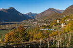 SSIF Treno Panoramico Vigezzo Vision / Creggio, 19.