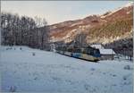 Der Ferrovia Vigezzina SSIF Treno Panoramico D 47 P von Domodossola nach Locarno unweit der Station Gagnone-Oresco.