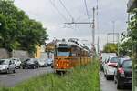 Durch üppiges Grün und an Blechkarossen vorbei fährt ein Zug der Linie 179 mit dem führenden Steuerwagen 551 am 03.05.2019 durch Cormano in Richtung Limbiate