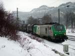 ITL Eisenbahngesellschaft mbH Am 18.01.2010 wartet 437 026  im verschneiten Rathen im �berholungsgleis auf die Weiterfahrt.