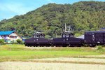 Drei kleine Lokomotiven wurden von Siemens-Schuckert und MAN im Jahr 1924 an die 33,7 km lange Jôshin-Bahn (in der Kantô-Ebene, ausgehend von der Stadt Takasaki) geliefert, anlässlich
