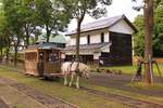 Die Pferdebahn des Freilichtmuseums von Hokkaidô bei Sapporo: Ein Zug in voller Fahrt in der Hauptstrasse, 31.Juli 2016. 