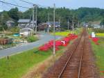 Die Strecke verluft weit durch Reisfelder, die jetzt mit ihren reifen Aehren gelb schimmern, dazu rote Blumen (higanbana, eine Art rote Lilie) der Strecke entlang. Aufnahme bei Shikiji aus Wagen 3501, 27.September 2009. 