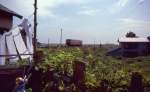 Tsugaru-Bahn, die nördlichste Privatbahn Japans: Unter dem weiten Himmel von Tsugaru kommt Triebwagen 22 (1962) nach Kanegi. Im kalten Wind flattern Handtücher, die in einem kleinen Bauernhofgarten zum Trocknen aufgehängt sind. 2.September 1983. 