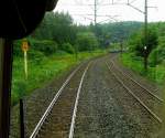 Serie 701 des Bezirks Morioka: Den regen- und schneereichen hohen Norden der japanischen Hauptinsel bedecken dichte tiefgründe Wälder.