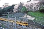 Serie 101: In der Tokyo-Stadtmitte zur Kirschblütenzeit fährt ein gelber Zug der Sôbu-Linie (Tokyo-Chiba) in Tokyo-Yotsuya ein. Frontwagen ist der motorlose Steuerwagen KUHA 100-53, 15.April 1985. CHÛÔ-SÔBU-LINIE
