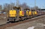 NL 6468+6463+6461 Wesel 07.03.2011 ...  Hans Vogel 08.09.2011