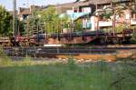 Rungenwagen mit Rundst�ben im ...  Andreas Strobel 29.07.2010