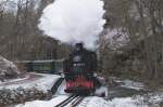 21.01.2012, 99 1771-7 im ...  Floreg L. 25.01.2012