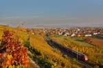Herbst: RE Offenburg - ...  Mathias  01.11.2010