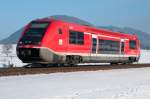 Wale in der Schweiz: ...  Marvin 20.02.2010