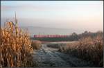 . Novembermorgen - �hnlich ...  Gisela, Matthias und Jonas Frey 15.11.2011