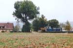 Schweinsdorf hatte immer nur ...  J�rg Sch�fer 22.01.2012