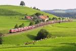 Den auf Grund der ...  J�rgen Vos 13.08.2011