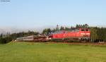 218 432-3 und 499-2 ...  Andreas Hackenjos 07.09.2011