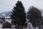 Aus Oberstdorf kommend f�hrt ...  Maximilian Sch�n 30.12.2010