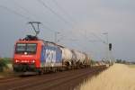 482 005-6 fuhr mit ...  Gilbert Coletti 06.12.2009
