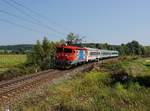 Die 1141 306 mit einem IC nach Zagreb am 19.08.2018 unterwegs bei Donjara.