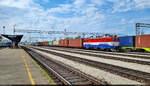 In der zweiten Reihe stand im Bahnhof Koprivnica (HR) ein Containerzug mit der kroatisch lackierten 1141 202-7 bereit.

🧰 HŽ Cargo d.o.o.
🕓 31.8.2022 | 11:22 Uhr