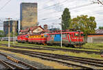 Ein buntes Dreiergespann, bestehend aus 1141 304-1, 1142 013-7 und 1142 009-5, fand sich am östlichen Rande der Bahnsteiganlagen von Zagreb Glavni Kol.